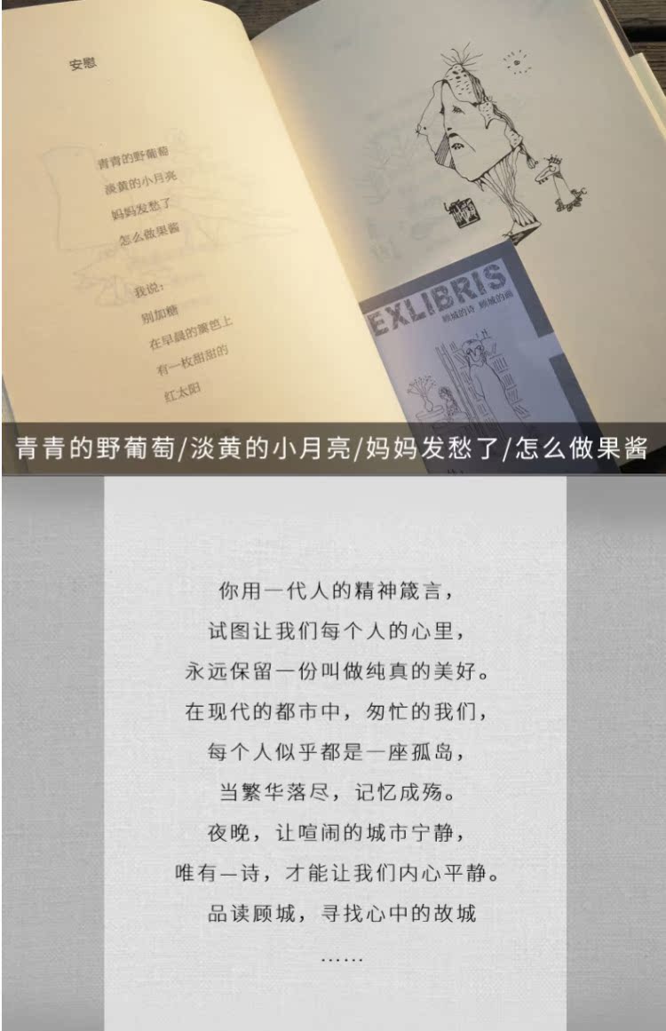 【凤凰正版精装】顾城诗集\/顾城的诗顾城的画