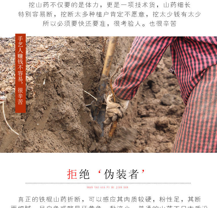 垆土地山药，铁棍山药，焦作山药批发插图(5)