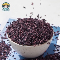 Aiais home new rice Fujian farmer purple glutinous rice five grains 500g Non-Mojiang purple rice