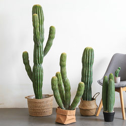 Simulated Cactus Moroccan Cactus Potted Plant Desert Tropical Style Plant Large Floor-Standing Window Display Decoration