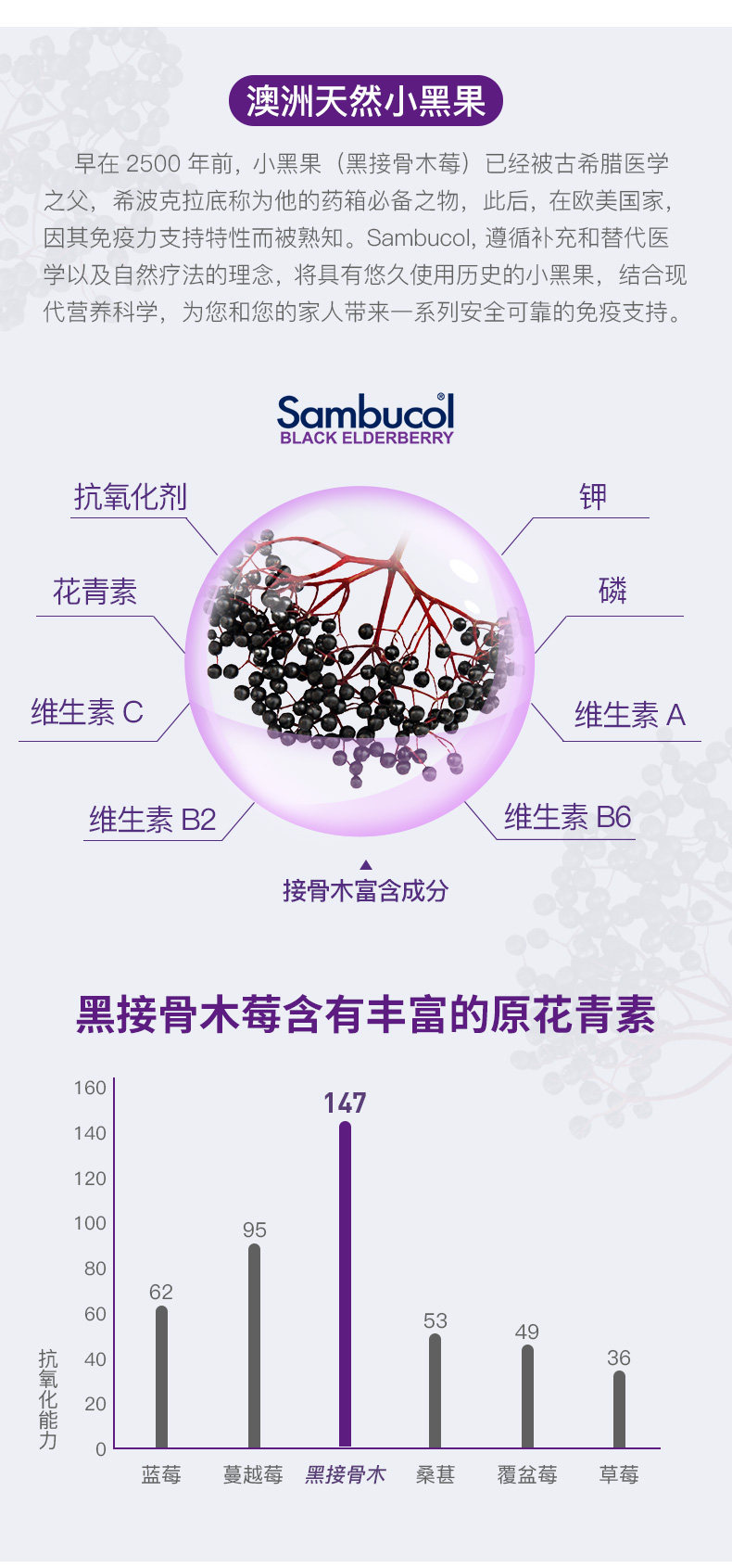 1015-Honey Hill Sugar_06.jpg