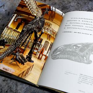 恐龙 失落王国之旅 (法)克莉丝汀·阿尔戈,(法)吕克·维韦斯 著 朱天乐 译 航空航天专业科技 新华书店正版图书籍