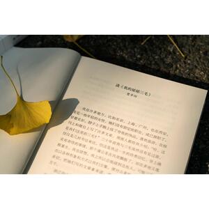我的姑姑三毛 (加)陈天慈 著 综合文学 新华书店正版图书籍 上海文艺出版社