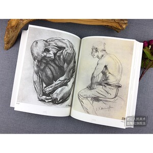 素描的高度 应金飞 著作 工艺美术（新）艺术 新华书店正版图书籍 浙江人民美术出版社