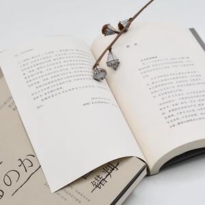 天下.BIG 法官因何错判 [日]秋山贤三著；曾玉婷，魏磊杰译 著 曾玉婷 译 高等法律教材社科 新华书店正版图书籍 法律出版社