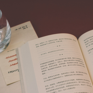 自杀式疗愈 [美]杰西·鲍尔 著 沈慧 译 现代/当代文学文学 新华书店正版图书籍 中信出版社