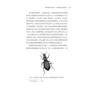 博物学家眼中的世界 海因里希自然观察笔记 (美)贝恩德·海因里希 著 刘畅 译 地震专业科技 新华书店正版图书籍