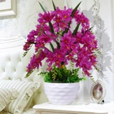 Phalaenopsis Simulation Flower Set Pseudo -Lower Display Домашняя гостиная