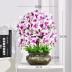 Phalaenopsis mô phỏng hoa lụa hoa trang trí trang trí nhà phòng khách trong nhà bàn trà TV tủ giả hoa mô phỏng hoa Hoa nhân tạo / Cây / Trái cây