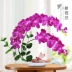 Phalaenopsis mô phỏng chậu hoa xem phù hợp với văn phòng hoa giả phòng khách trong nhà trong nhà trang trí chậu trang trí - Hoa nhân tạo / Cây / Trái cây Hoa nhân tạo / Cây / Trái cây