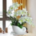 Phalaenopsis mô phỏng hoa lụa hoa trang trí trang trí nhà phòng khách trong nhà bàn trà TV tủ giả hoa mô phỏng hoa hoa nhựa treo tường Hoa nhân tạo / Cây / Trái cây