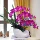 Phalaenopsis mô phỏng hoa lụa hoa trang trí trang trí nhà phòng khách trong nhà bàn trà TV tủ giả hoa mô phỏng hoa hoa nhựa treo tường