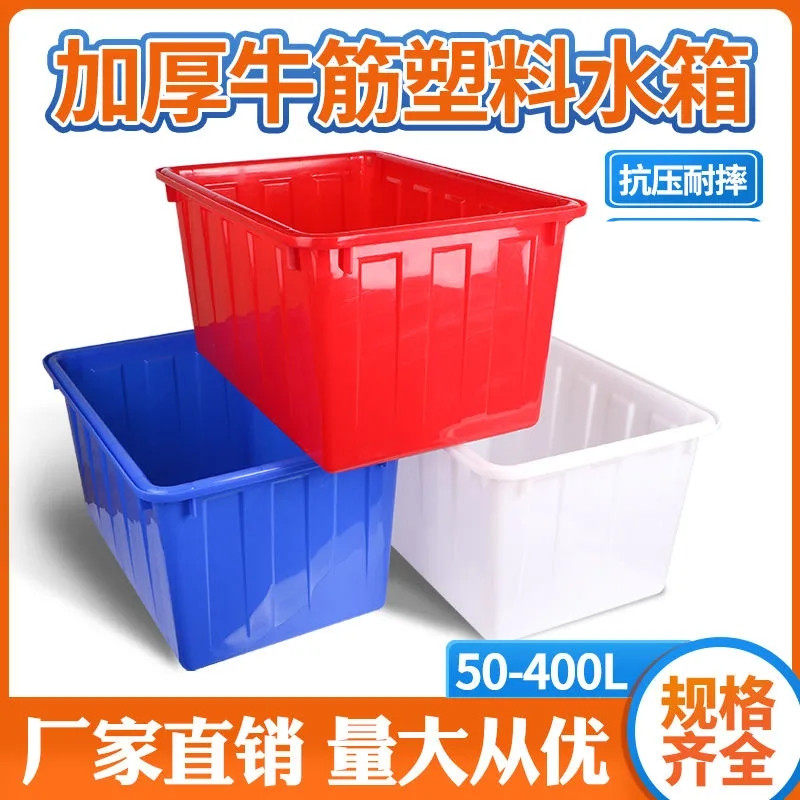 Weekly transfer case with drainage peefish turtle box with lid valve open vents plastic case Aquatic Breeding Weekly box with hose