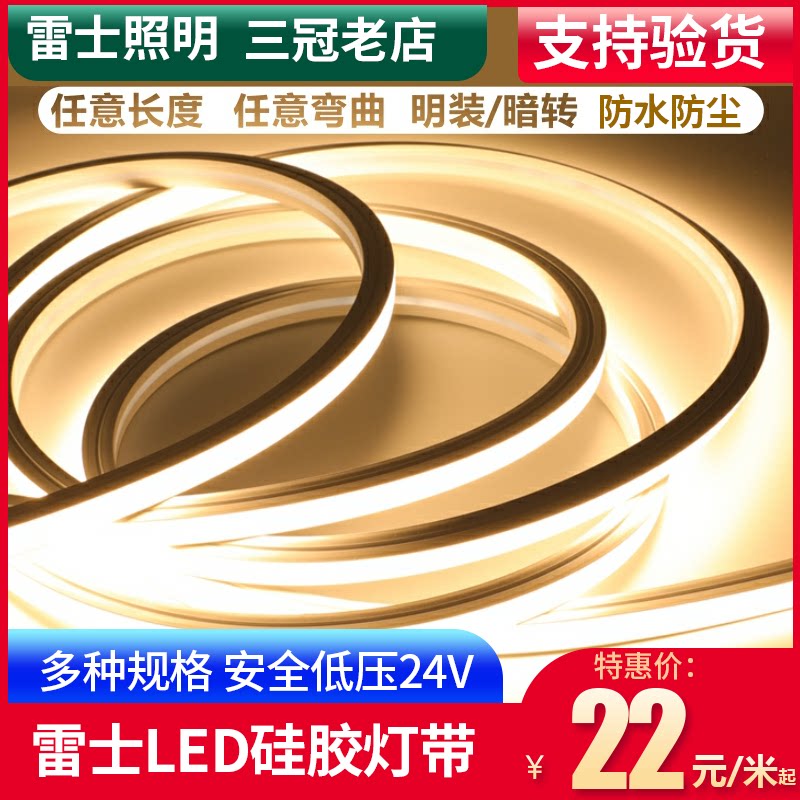 Raj lighting LED silicone soft lamp with bending soft casing flexible lamp belt 24V low pressure ultra - long