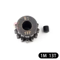 1 плесень 13t