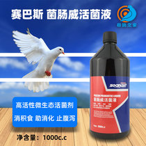 Race Bass Dove Drug Bacteria Intestinal live bacteria liquid dove with parrot letter dove pigeon pull dilute water pence the green poo to conditioning health care