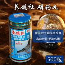 Breeding Dove Society Dove Drug Phosphorus Calcium Pill Dove With Letter Dove Young Pigeon Pigeon Tonic Calcium Supplies Common Medicine Conditioning Medicine Nutritional Feat