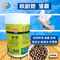 Eurnederdove Drug Chick Breeder Young Pigeon Breeding Young Pigeon Breeder Dove Breeder Dove Conditioning Race Dove Letter Dove Nutrition Health Products