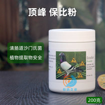 Dutch Pinnacle Dove Drug Pathan Pink Pigeon Gut Special Medicine Salmonella Dove Drug Pigeon Lathin Potion Poop Poop Poop Poop Poop Poop Pods Poop Poop Poop