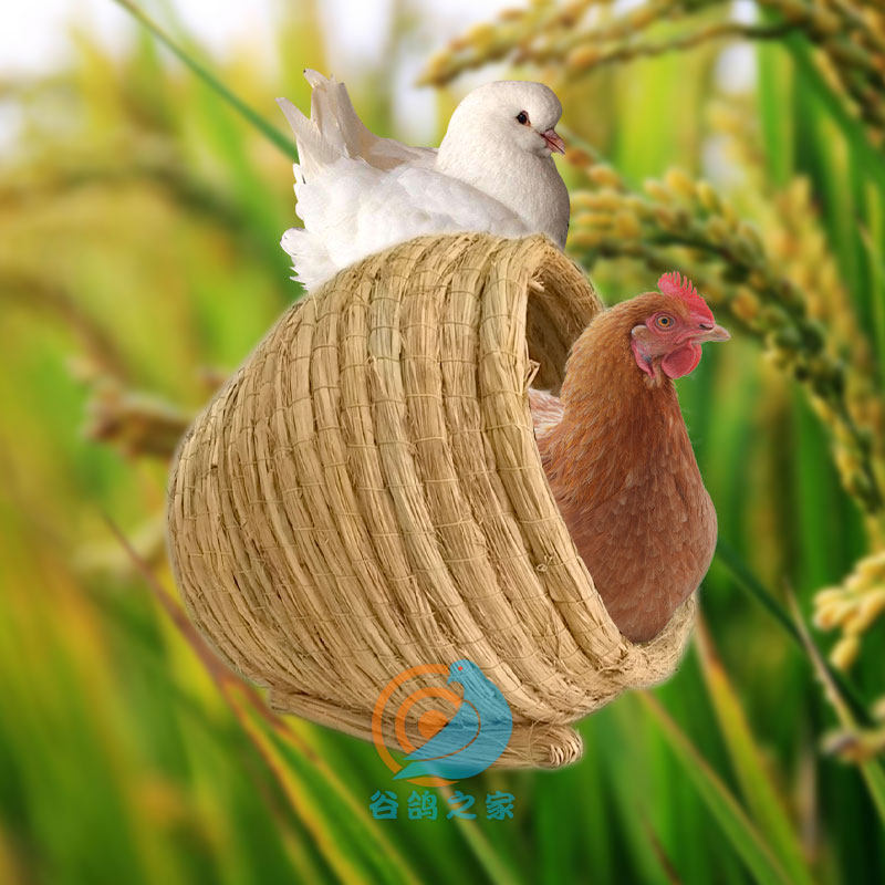 Grass Choreography Chicken Nest Egg Nest Breeding House Outdoor Outdoor Chicken Produce Egg Cohorts Parrot Bird Grass Nest Straw Warm Nest