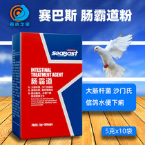 Sybas Salmonellas pigeon dove parrot bird pigeon pull dilute water green then intestinal conditioning pigeon medicine Grand full