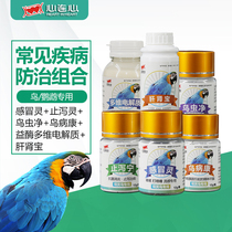 Heart Even Xuanfeng Parrot Frequent Medication Probiotic Live Bacteria Supplement Calcium Bites to Diarrhea With Diarrhea and Thin Medicine Monocular