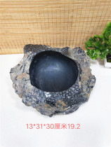 Fine coral worm fossil ashtray multi-meaty flower pot strange stone original stone ornaments Collection high-grade gift ornamental stone