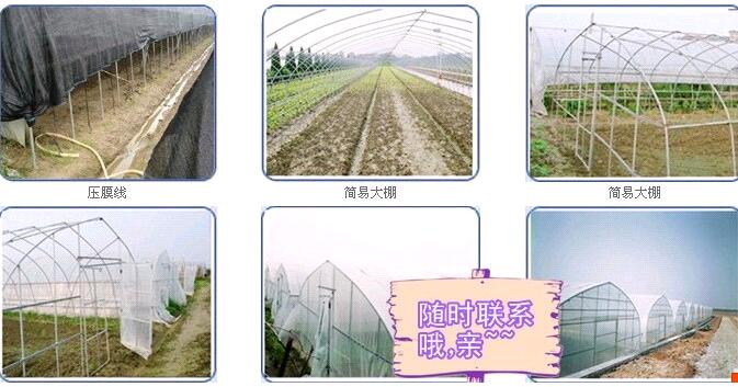 Nhà kính nhà kính trồng rau nhà kính thiết bị làm vườn thiết bị thẻ ống chéo hỗ trợ thẻ hình chữ U khóa số lượng lớn vận chuyển vòi tưới cây đa năng