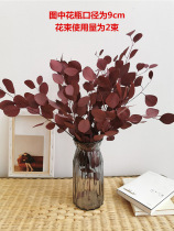 Natural Eucalyptus air-dried high-grade dried flowers Real flower bouquet immortal flowers round leaves Light luxury living room decoration flower arrangement ornaments