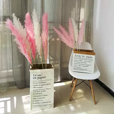 ins net red pink big reed floor-to-ceiling air-dried dried flowers Big spike bouquet Home furnishings Puwei real flower decoration