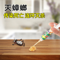 Tulip Cockroach Thecockroach Cockroach Drug A Nest End Killing Cockroach Kstars Home Kitchen To Cockroach Full Nest End