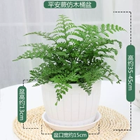 Защитный амулет, ванна