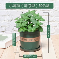 Ограниченное время Специальная цена-6,8 Юань средней горшки (прохладный) галлонный бассейн (удобрения)