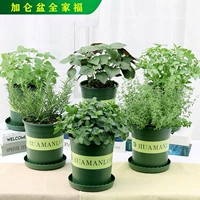 [Ванильный семейный пакет портретов]