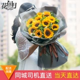 Панжи цветочный цветочный экспресс Экспресс те же городские фестивалы фестивалей под подсолнечники цветы, Западный район Западный район Магазин Цветок