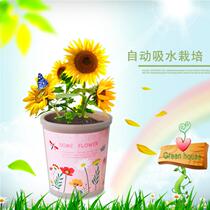 Automatic absorbent diy children planting potted mini plant happy farm desktop small micro landscape flower seed Belt basin
