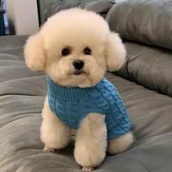 Pet Dog Autumn and Winter Sweater Small Dog Teddy Bichon Pomeranian Cat Korean Version ins Cute Autumn Clothes
