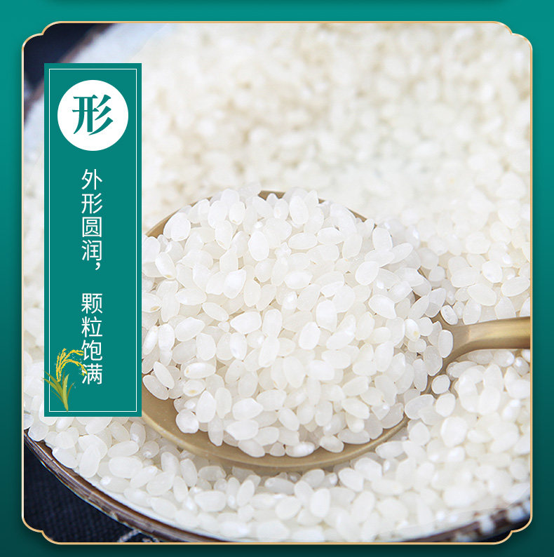 安享好物 安享B级粳米-莘森南粳粳米 国标 