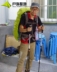 Gỗ kiến ​​ANTS 7075 khóa siêu nhẹ hợp kim nhôm trekking sào mía 	mua gậy dò đường cho người mù	 Gậy / gậy