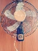 Quạt mới treo tường quạt treo tường 16 inch 18 inch nhà yên tĩnh lắc đầu quạt thô lưới quạt tường khách sạn - Quạt điện Quạt điện
