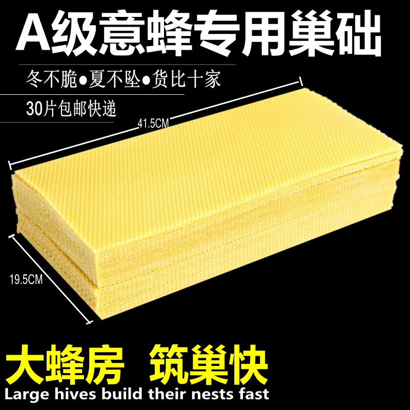 Honeybee Utensils Honey HONEYCOMB BASE HONEYCOMB SPLEEN HONEY HONEYCOMB BASE 30 PIECES BEESWAX BASE HONEYBEE BOX
