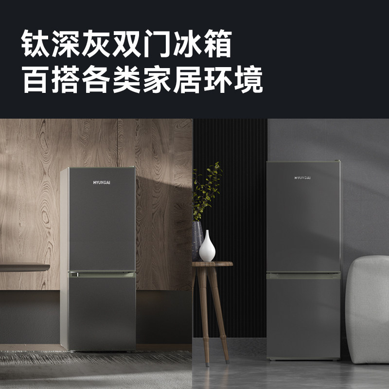 HYUNDAI-BCD-223冰箱图片