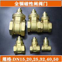 Valve switch magnetic lock valve door key brass gate valve encrypted tap water meter Front 4 points 6DN15 large cylinder