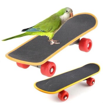 Pet parrot bird uses toy scooter for exercise training, interactive educational bird supplies, photo props, free shipping