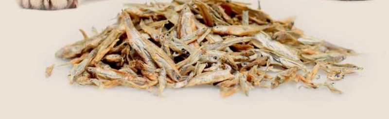 Cá khô, đồ ăn nhẹ cho mèo, dải thịt, 100g, cá nước ngọt vỗ béo, canxi, mèo, mèo con tự nhiên tươi, thức ăn cho mèo - Đồ ăn nhẹ cho mèo