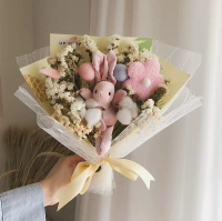 Желаю Bunny 2.1 (с легкой струной и прозрачным подарочным пакетом)