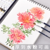Deli 160G Sketch Книга A4/8K Профессиональное искусство Студент Студент Специальная живопись наброски для рисования Студенты Используют 60 ручной обложки с жесткой оболочкой. Рисование взрослое пустое 8 -открытое эскиз