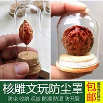 Text playing glass cover dust-proof sealing hood walnut handstring nuclear sculpted single seed anti-cracking containing bottle round swing piece collection
