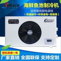 Borek Seafood Pool Chiller Integrated Aquaculture Chiller Fish Tank Cooling Constant Temperature Machine Sea Freshwater Cooler