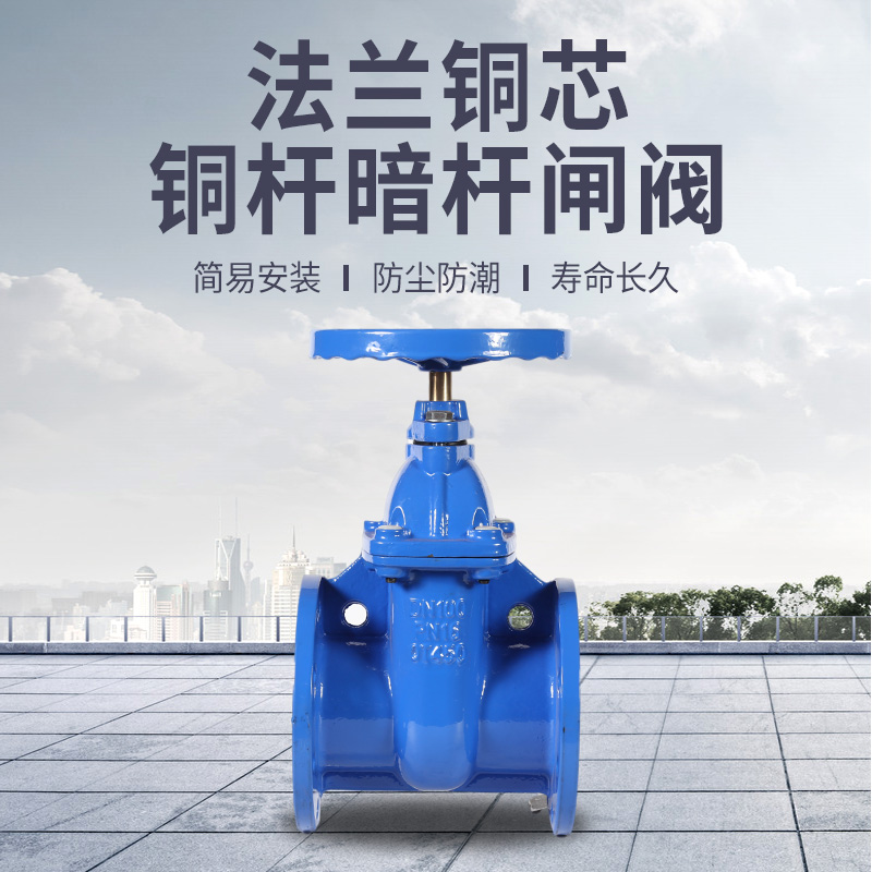 Promotion of copper core dark bar gate valve Z45T-16Q flange copper core bright rod gate valve Z41T-16 protection gate valve DN200